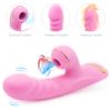 CR-DZ Dibey Rabbit 13th Generation Vibrator Pink